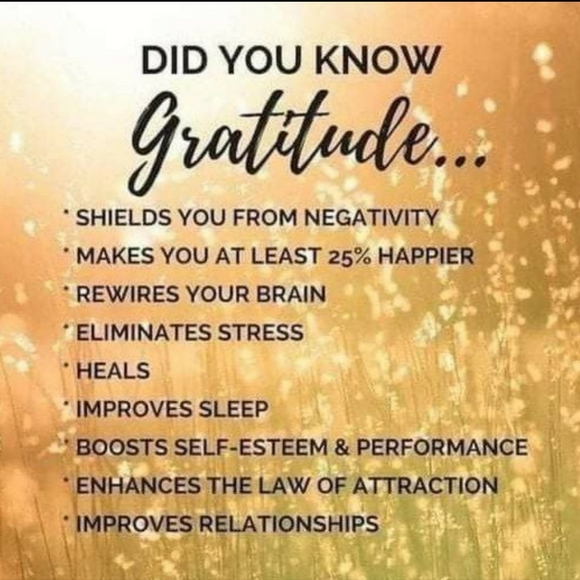 Off Shoulder Ribbed-Knit Shirt Women's - Picture 7 of 14